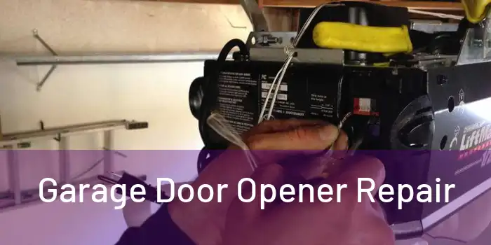  Garage Door Opener Repair 